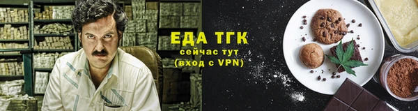 индика Приозерск