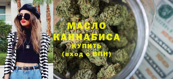 индика Приозерск