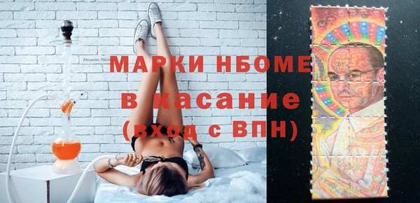 индика Приозерск