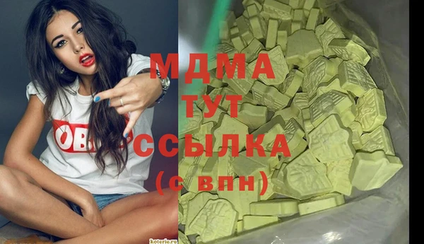 индика Приозерск