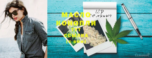 индика Приозерск