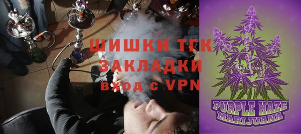 индика Приозерск