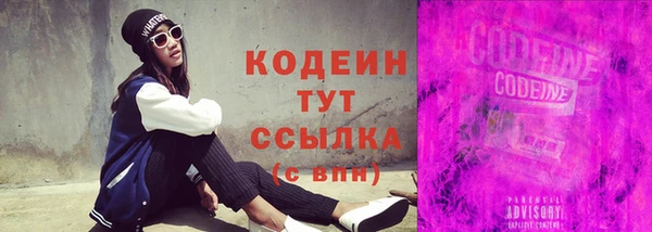 индика Приозерск