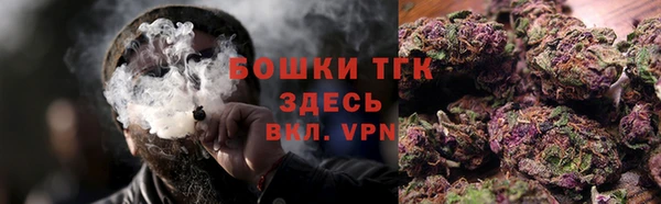 индика Приозерск