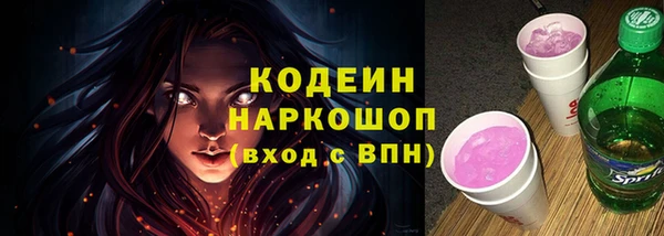 индика Приозерск