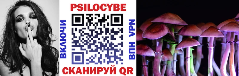 Псилоцибиновые грибы Psilocybine cubensis  Купить закладки  Сухой Лог 