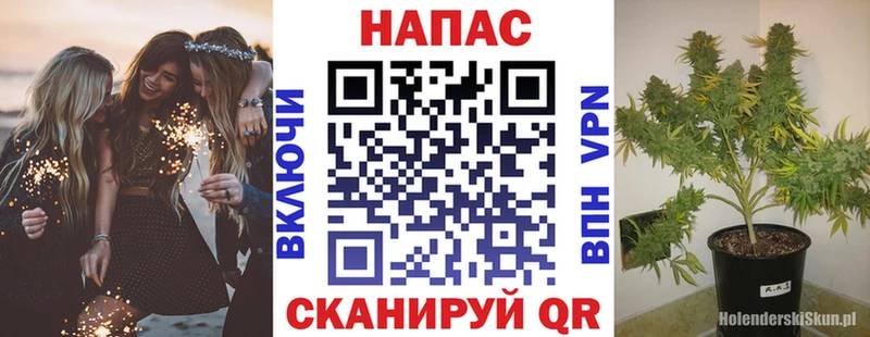 Шишки марихуана марихуана Сухой Лог